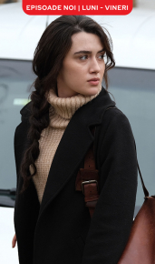 cover Pe aripile iubirii