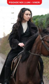 cover Pe aripile iubirii