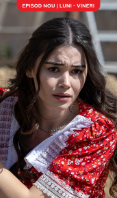 cover Cealaltă soție