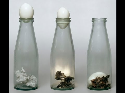 Absolute Assault Advent Provocarea secolului! Cum să bagi un ou în sticlă, fără să-i strici forma!  (VIDEO) | Antena 1
