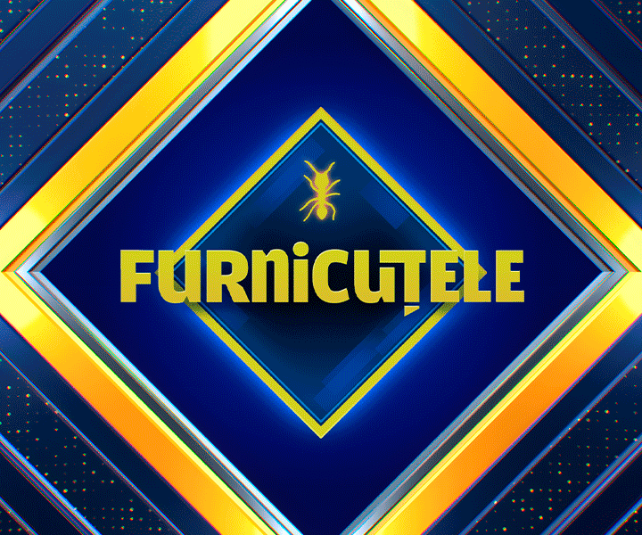 Furnicutele